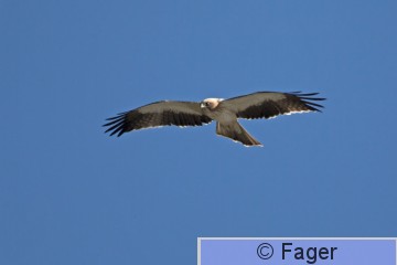 _XM12342 copy.jpg