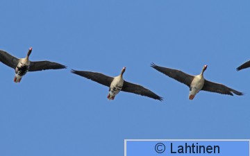IMG_2954 k.jpg