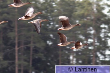 IMG_1916 k2.jpg