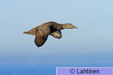IMG_5199 k.jpg