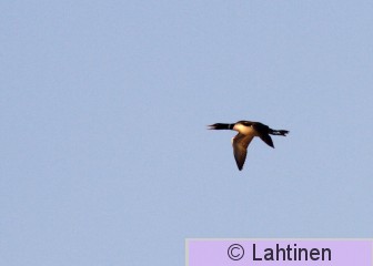 IMG_2829 k.jpg