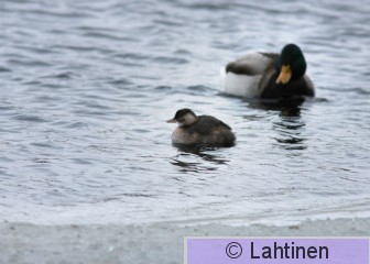 IMG_0651 k.jpg