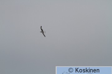 IMG_0614.JPG