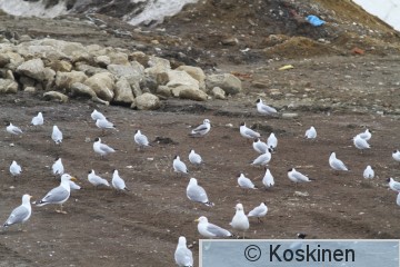 IMG_0650.JPG