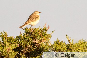 IMG_8839.jpg