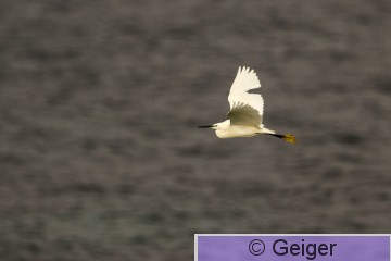 IMG_9081.jpg