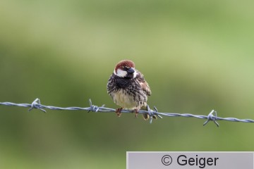 IMG_9094.jpg