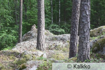 huuhkaja 128.jpg