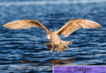 IMG_0900.jpg