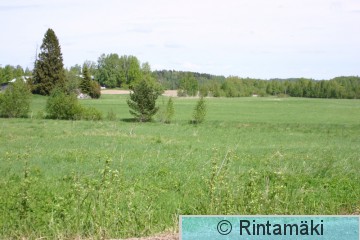 Pälkäne Pietilänpellot 1.6.2006 PRkuva.JPG