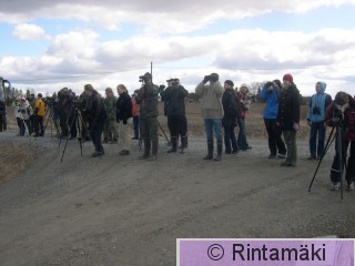 RETKI22.4.2006a Pilynarkisto.JPG