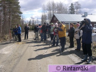 RETKI22.4.2006b Pilynarkisto.JPG