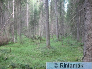 Ylöjärvi Takamaa 22.5.2010 PRkuva.jpg
