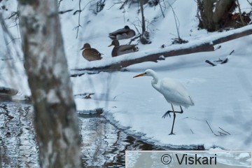 IMG_9079.jpg