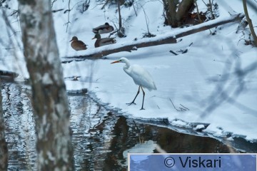 IMG_9080.jpg
