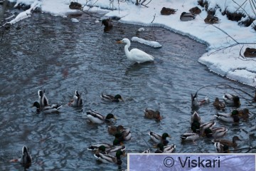IMG_9153.jpg