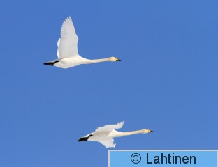 IMG_1533 k.jpg