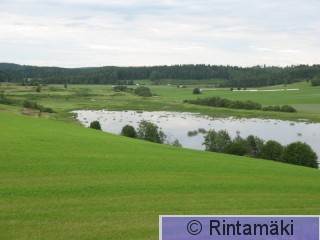 Hä Sarkkilanjärvi 17.7.2011 PRKuva.jpg