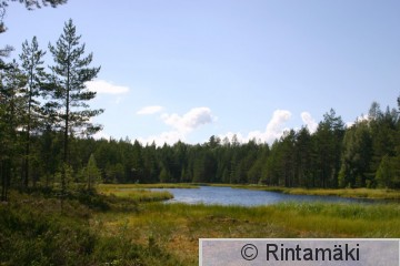 Nokia Pikku Koukkujärvi 5.8.2005 PRKuva.jpg
