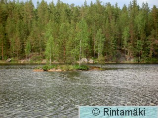 Nokia Porrasjärvi 15.6.2005 Kaakkurin pesimäsaari PRKuva.JPG