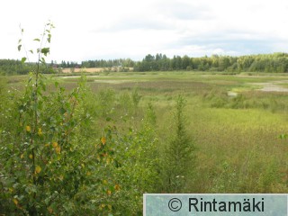 Ylöjärvi Hirvijärvi 4.8.2011 PRKuva.jpg