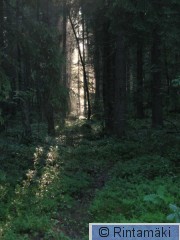 Ylöjärvi Pohjajärvi 16.6.2011 PRKuva.jpg