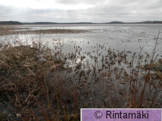 5.4.2015 Kiikoisten Kuorsumaanjärvi PRKuva.JPG