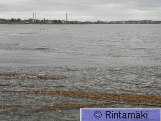 Kanadanhanhet, Vammala ja Liekovesi 6.4.2015 PRKuva.JPG