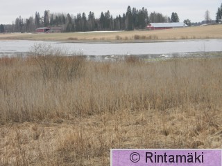 Koivuniemenjärvi 5.4.2015 Sastamalassa PRKuva.JPG