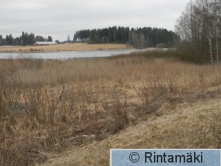 Koivuniemenjärvi Sastamalassa 5.4.2015.JPG