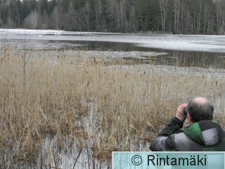 LK ja Vesilahden Onkemäenjärvi 3.4.2015 PRKuva.JPG