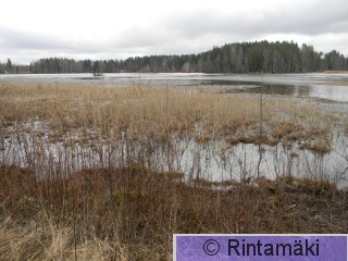 Onkemäenjärvi 3.4.2015 PRKuva.JPG