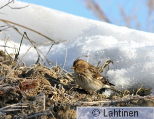 IMG_2203 k.jpg