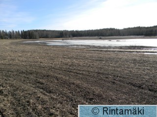 Pi Korteniitty 20.3.2015 PRKuva.JPG