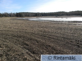 Pirkkala Korteniitty 20.3.2015 PRKuva.JPG