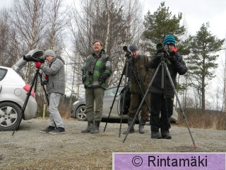 Staijareita Liekovesi 6.5.2015 PRKuva.JPG