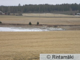 Suodenniemi Koivuniemenjärvi 1.4.2015 PRKuva.JPG