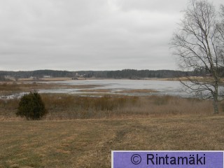 Suodenniemi Koivuniemenjärvi 5.4.2015 2.JPG