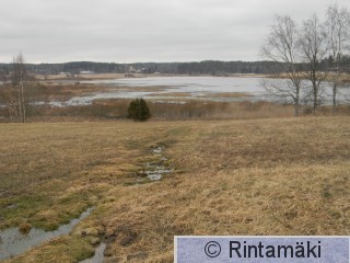 Suodenniemi Koivuniemjärvi 5.4.2015 PRKuva.JPG
