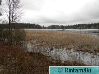 Vesilahden Onkemäenjärvi 3.4.2015 PRKuva.JPG