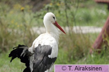 IMG_2281_PILY.JPG