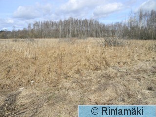 Iidesjärvi itäpää 22.4.2015 1 PRKuva.JPG