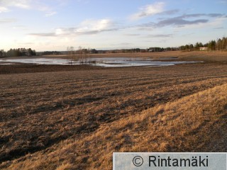 Pirkkala Korteniitty 20.4.2015 1 PRKuva.JPG