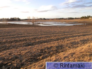 Pirkkala Korteniitty 20.4.2015 3 PRKuva.JPG