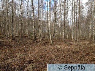 2015-04-24 09.49.34.jpg
