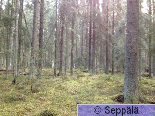2015-04-28 08.06.40.jpg