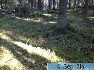 2015-04-28 09.59.12.jpg