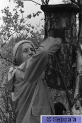 36  Kari tarkastaa telkän pönttöä Vaivian ponsilla  1973  HH.jpg