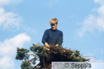 43  Helge H valmistaa alustaa kalasääskelle  Vaivialla  KH.jpg