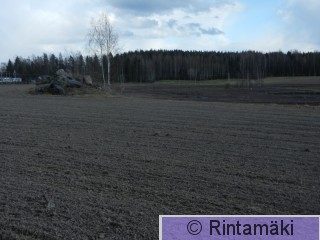 3.5.2015 Pirkkala Korteniitty PRKuva.JPG